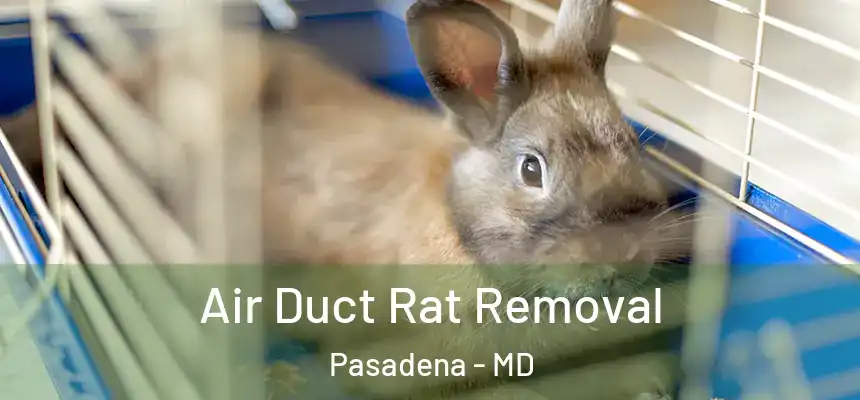  Air Duct Rat Removal Pasadena - MD