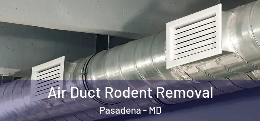  Air Duct Rodent Removal Pasadena - MD