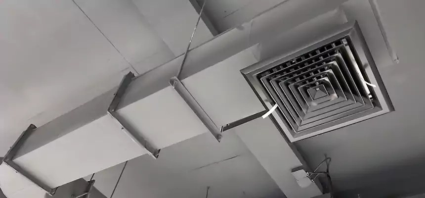 Our Pest Removal From Ducts Services in Pasadena, MD