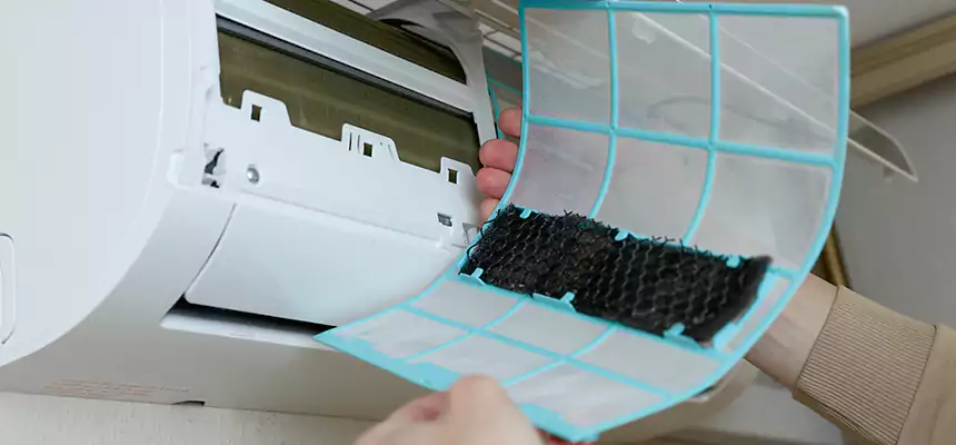 Gentle Ductwork Odor-Control Pet Dander Duct Cleaning in Pasadena, MD