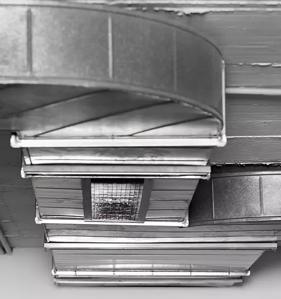 Professional Air Duct Pest Removal in Pasadena, MD