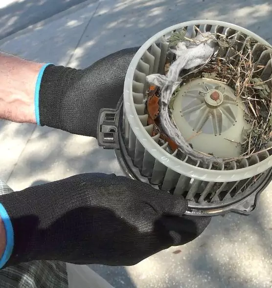 About Air Duct Rat Removal in Pasadena, MD