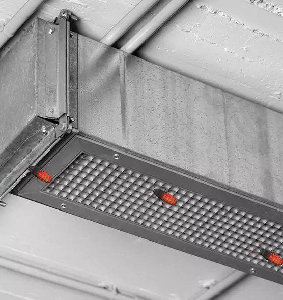 Affordable Insect Removal from Air Ducts in Pasadena, MD