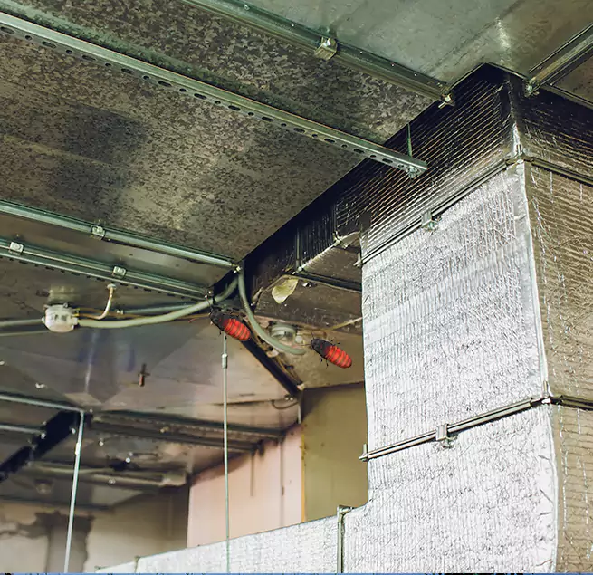 Why Homeowners & Businesses Trust Us in Pasadena, MD?