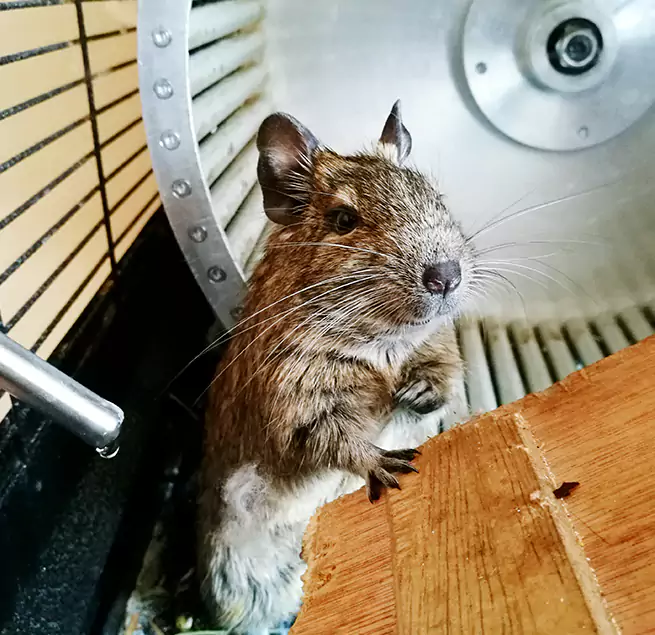 Why Homeowners & Businesses Trust Us Pasadena, MD