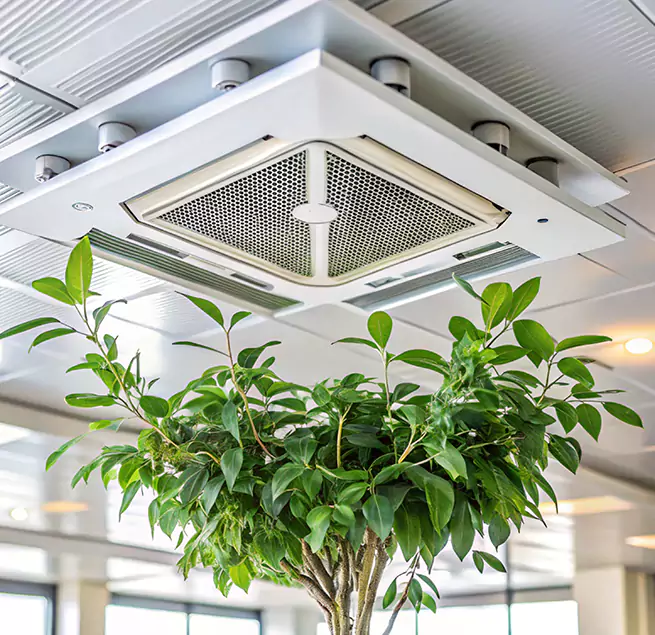 Why Homeowners & Businesses Trust Us in Pasadena, MD?